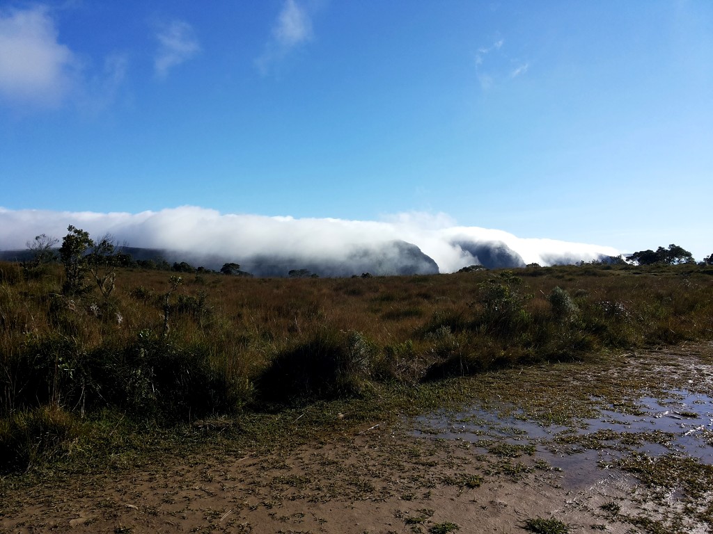 Canion Serra geral coberto de Neblina